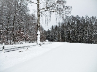 Winterwunderland