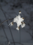 600x800_1024318