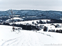 Winterwald